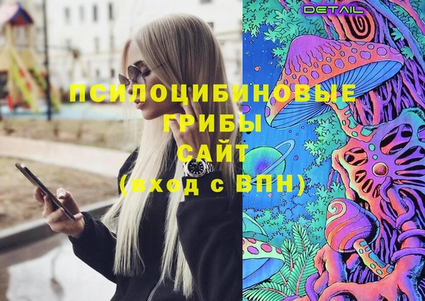 прущие крисы Абаза