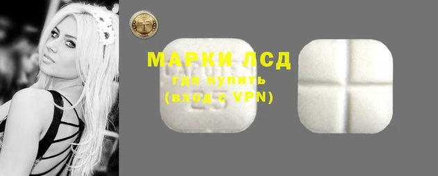 прущие крисы Абаза