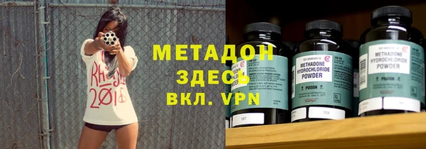 индика Алексин